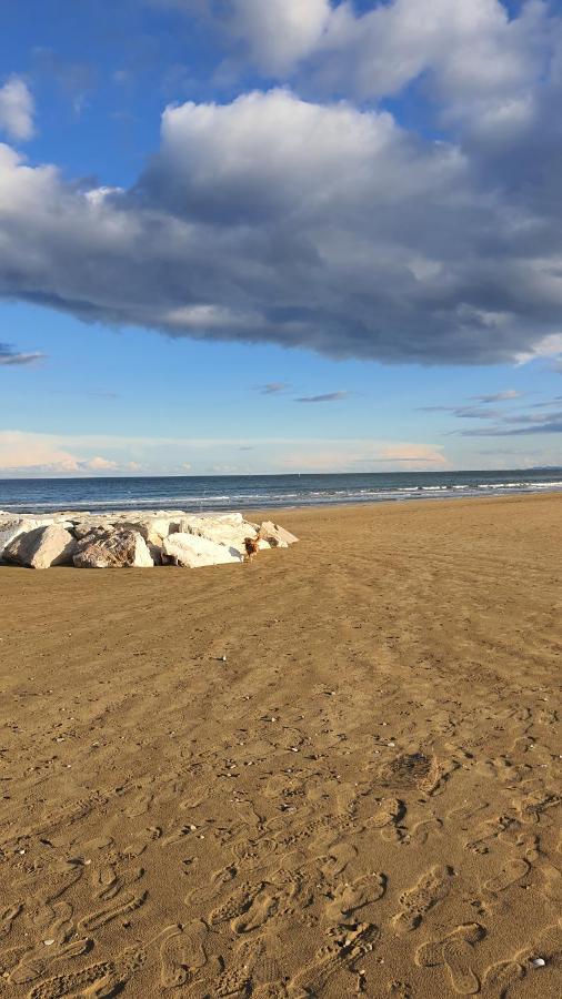 Bnb Fano Collina. La Pace Di Una Vacanza Piagge Kültér fotó