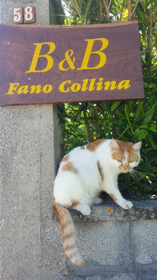Bnb Fano Collina. La Pace Di Una Vacanza Piagge Kültér fotó