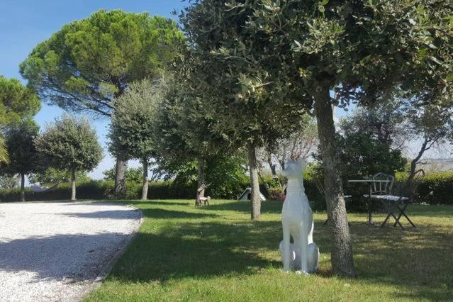 Bnb Fano Collina. La Pace Di Una Vacanza Piagge Kültér fotó