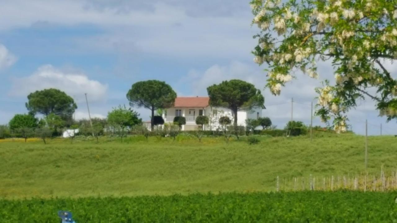 Bnb Fano Collina. La Pace Di Una Vacanza Piagge Kültér fotó