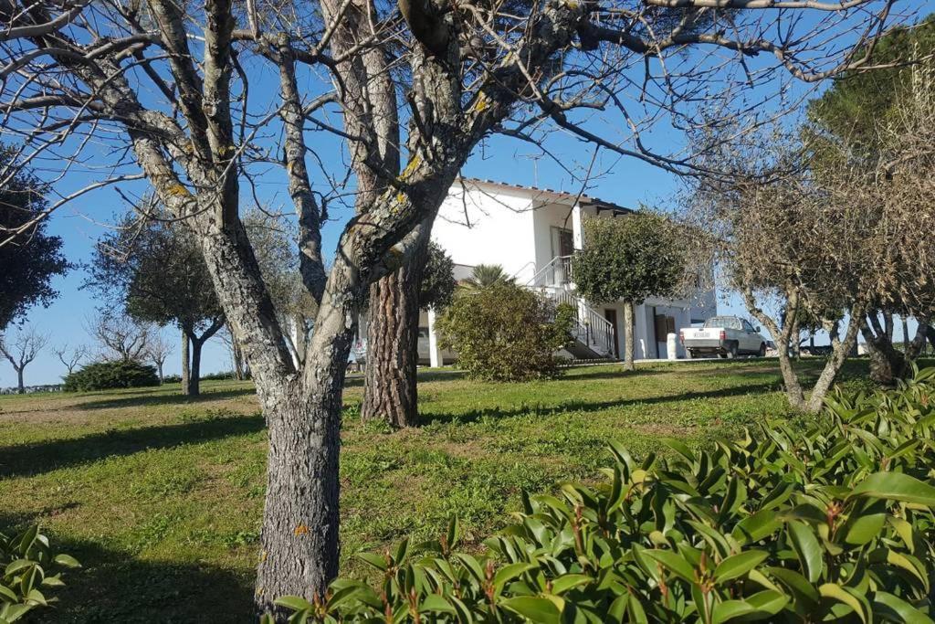 Bnb Fano Collina. La Pace Di Una Vacanza Piagge Kültér fotó
