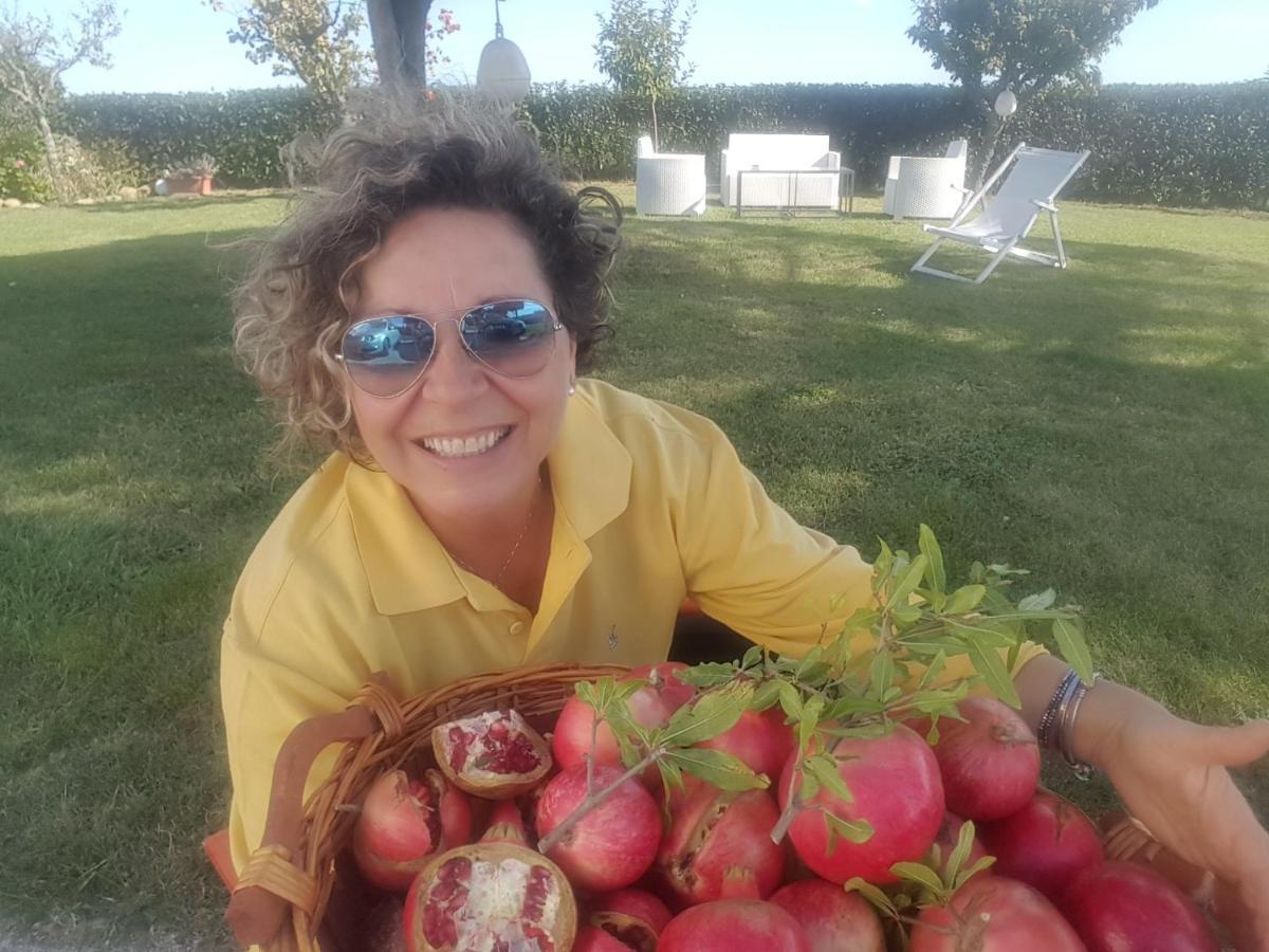 Bnb Fano Collina. La Pace Di Una Vacanza Piagge Kültér fotó
